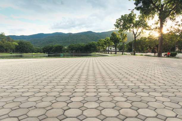 Best Custom Driveway Pavers  in Port Richey, FL